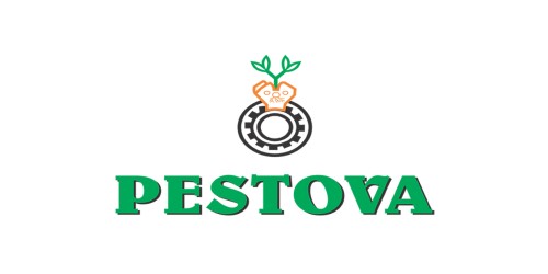 Job